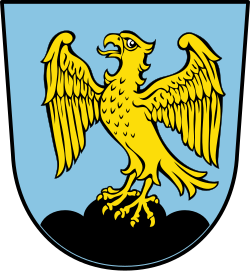 DEU Falkenstein (Oberpfalz) COA
